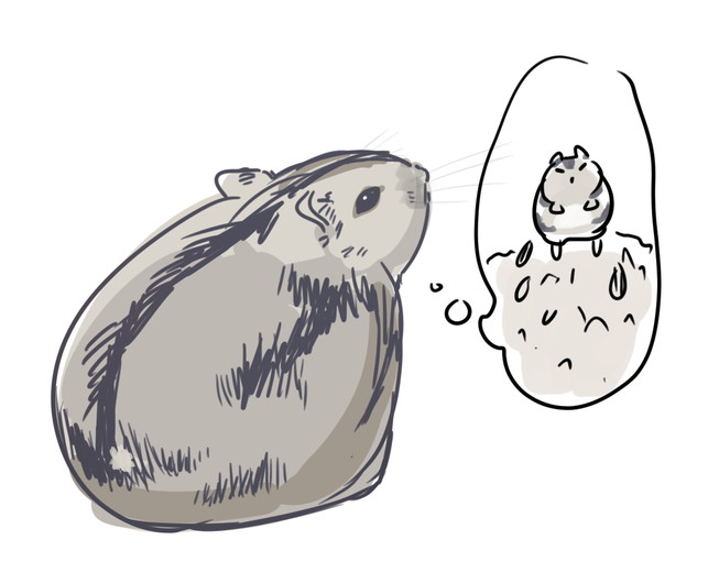 日記 うちのハムスターのご紹介 Mdus Party